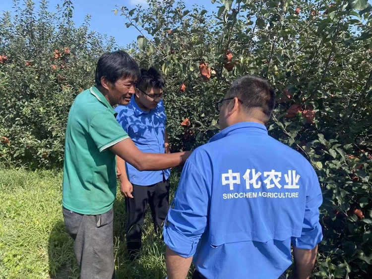 太阳集团城8722(Macau)股份有限公司-Official website