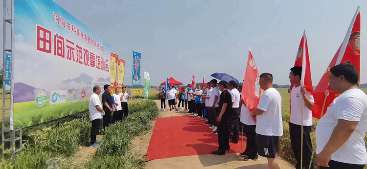 太阳集团城8722(Macau)股份有限公司-Official website