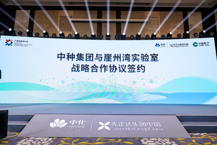 太阳集团城8722(Macau)股份有限公司-Official website