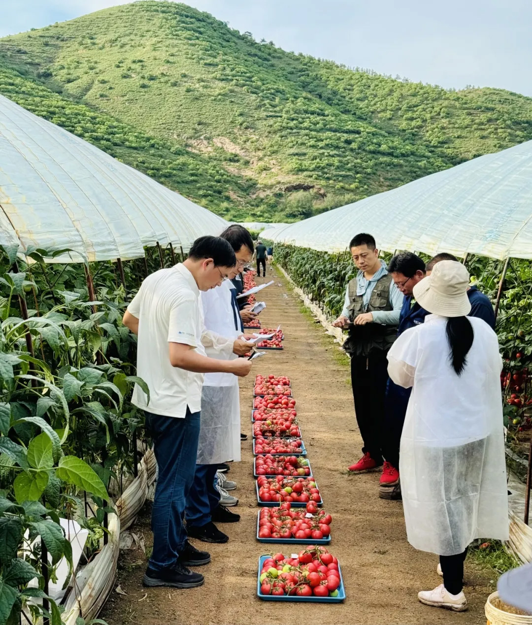 太阳集团城8722(Macau)股份有限公司-Official website