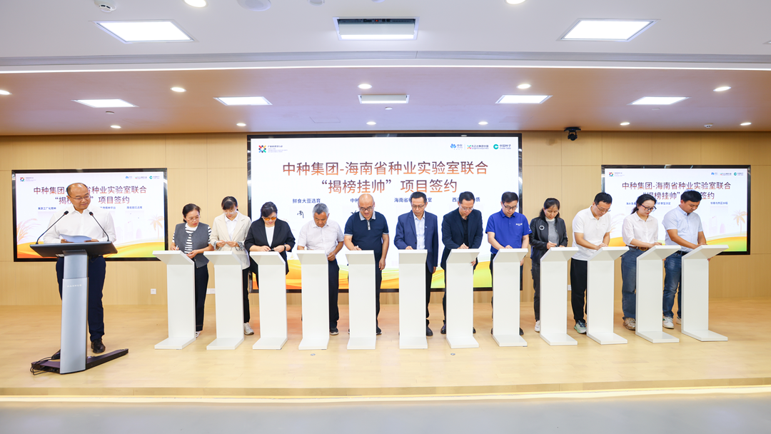 太阳集团城8722(Macau)股份有限公司-Official website