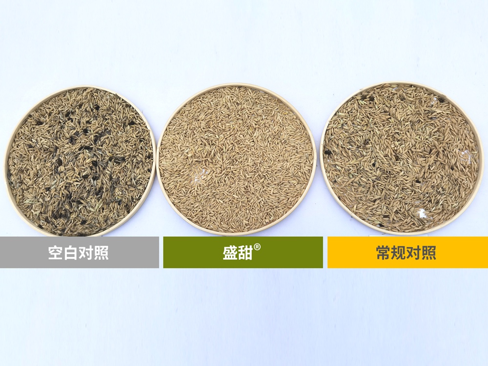 盛甜加R标1