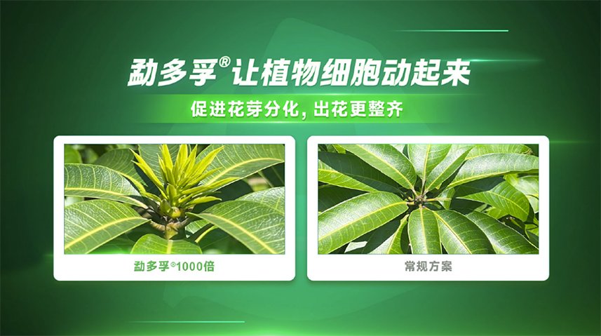 太阳集团城8722(Macau)股份有限公司-Official website