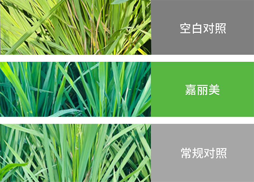 太阳集团城8722(Macau)股份有限公司-Official website