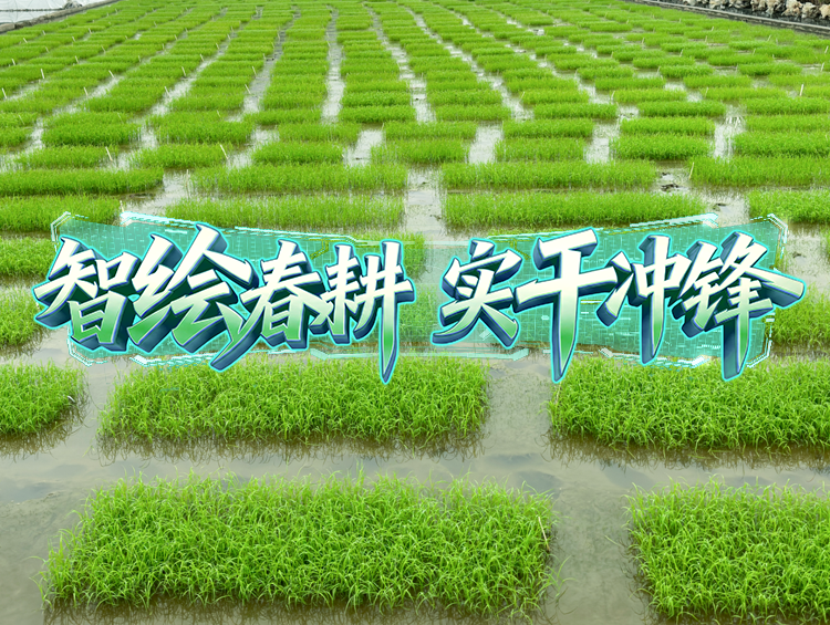 良种添动力，开启春耕“种”动员