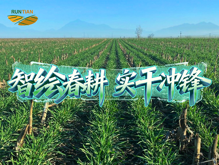 “润田”六年：让土壤“活”起来，让产量“提”上去