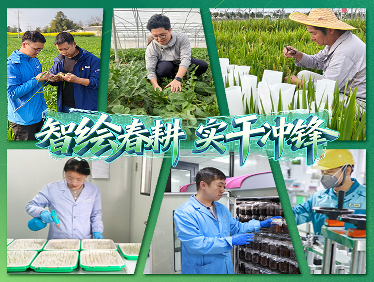 智绘春耕 | 以春为序，以耕作答，写下太阳集团城8722“春耕日记”