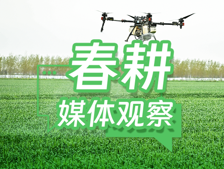 迎“大考”闯“三关”，筑牢小麦稳产防线
